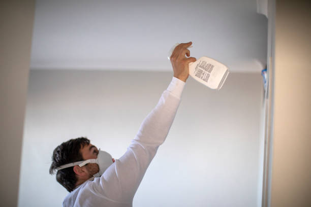 Best White Mold Remediation in Croswell, MI