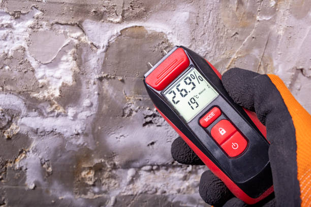 Best Emergency Mold Remediation in Croswell, MI