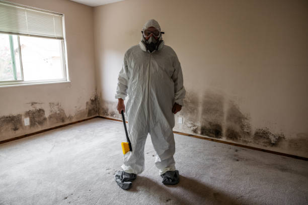 Best Industrial Mold Remediation in Croswell, MI